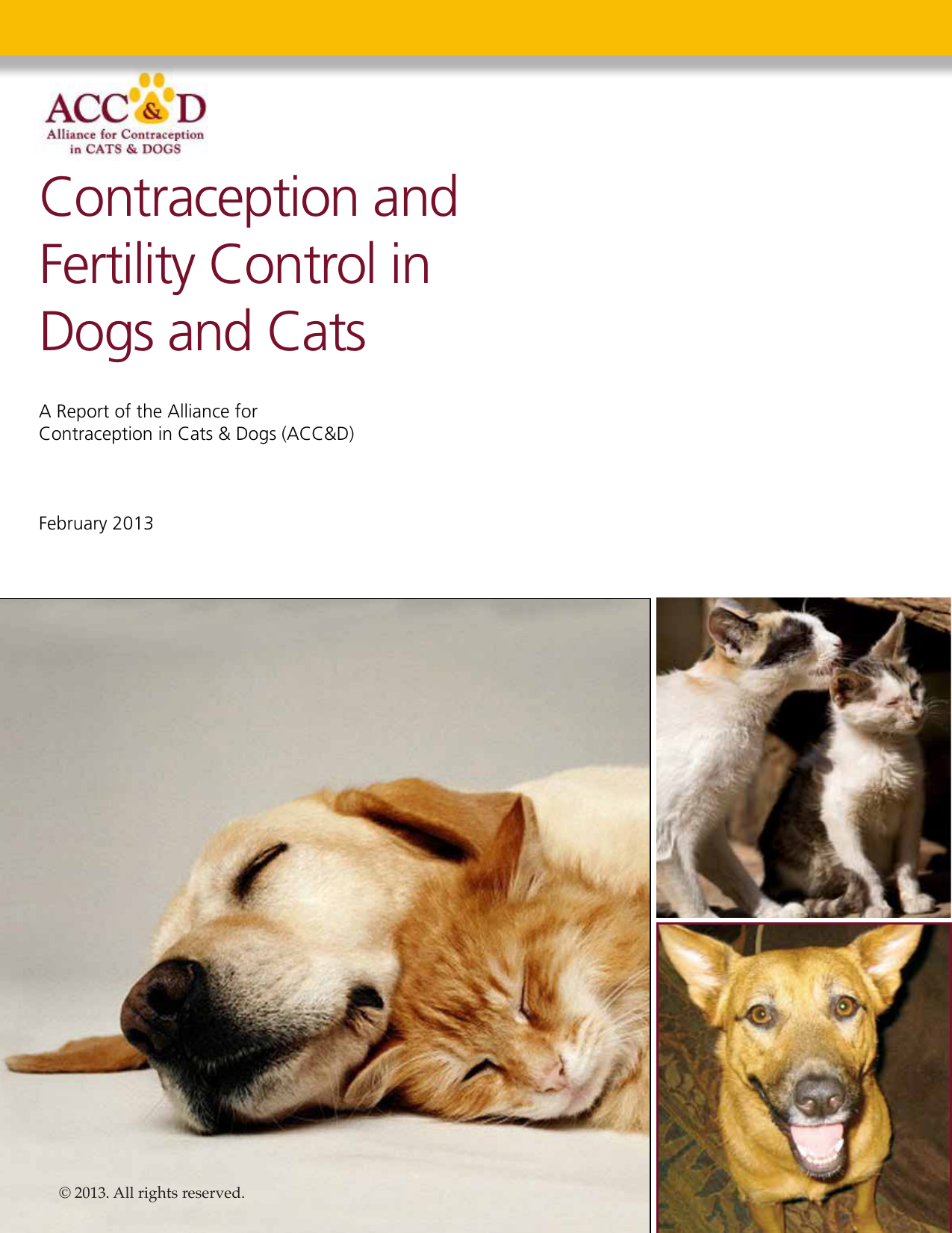 Contraception And Fertility Control In Dogs And Cats Manualzz