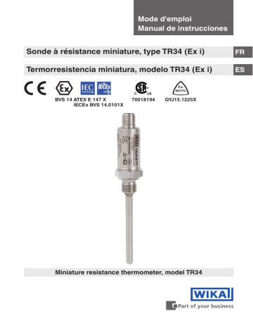 WIKA TR34 Instrucciones De Operación | Manualzz