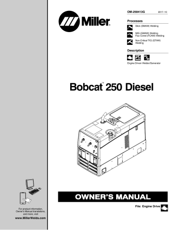 Miller BOBCAT 250 DIESEL User manual | Manualzz