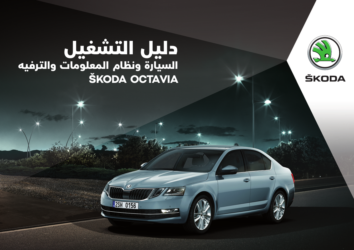 Skoda Octavia 2018 11 Owner Manual Manualzz