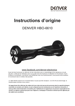 denver hoverboard 6610