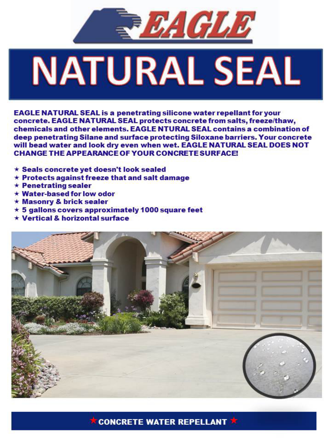 Eagle EM1 1 gal. Natural Seal Clear WaterBased Concrete
