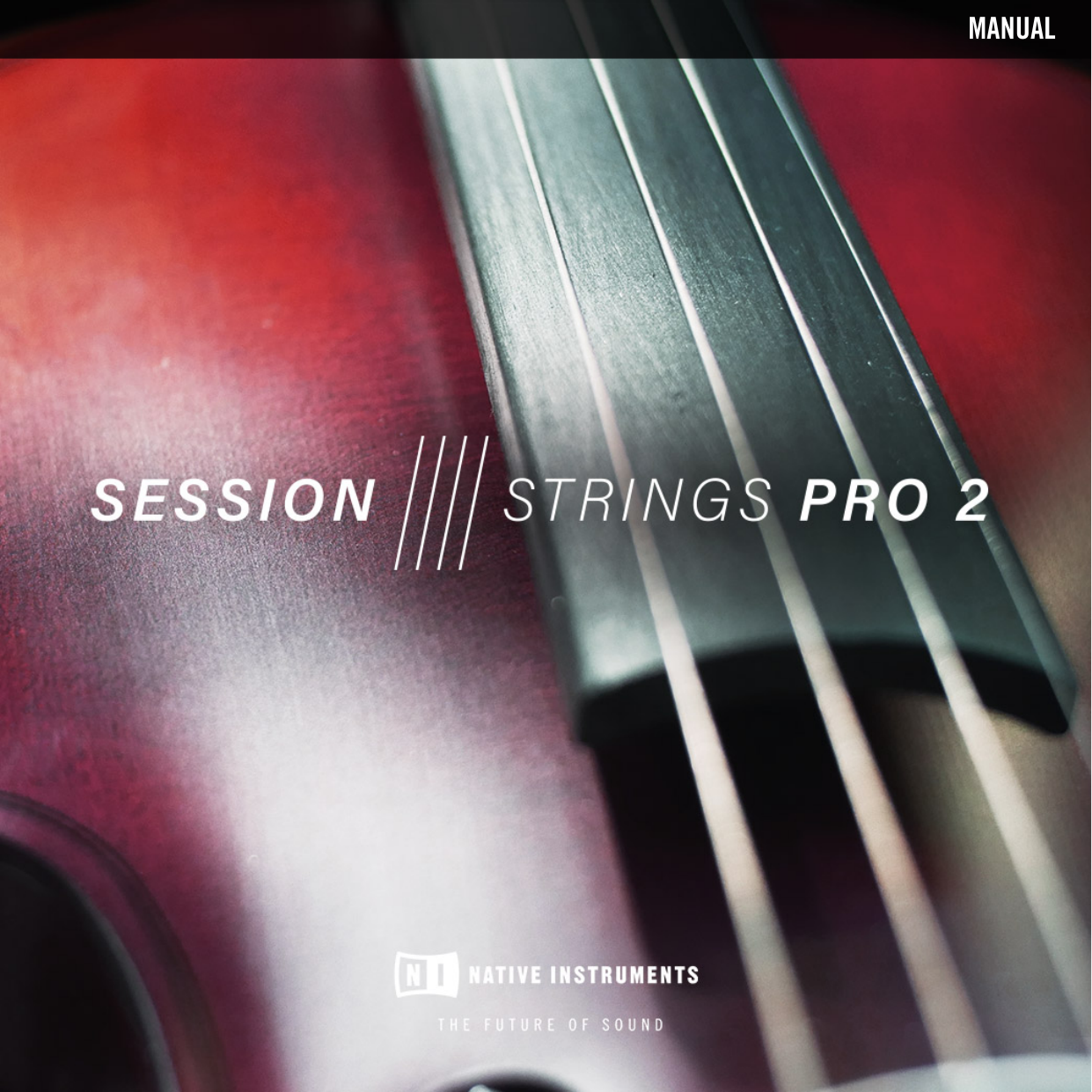 session strings 2 crack