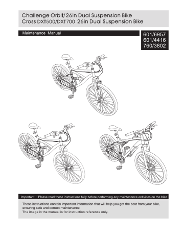 Dxt500 bike online