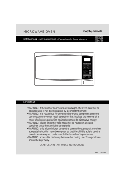 morphy richards 800w