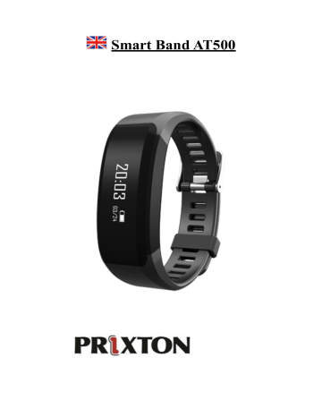 prixton watch