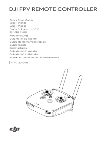 dji Assistant 2 (DJI FPV series), Digital FPV System, FPV Remote Controller Инструкция по применению | Manualzz
