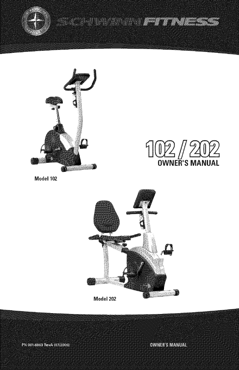 Schwinn 202 sales recumbent exercise bike