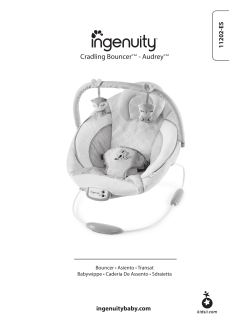 Ingenuity 2024 bouncer assembly