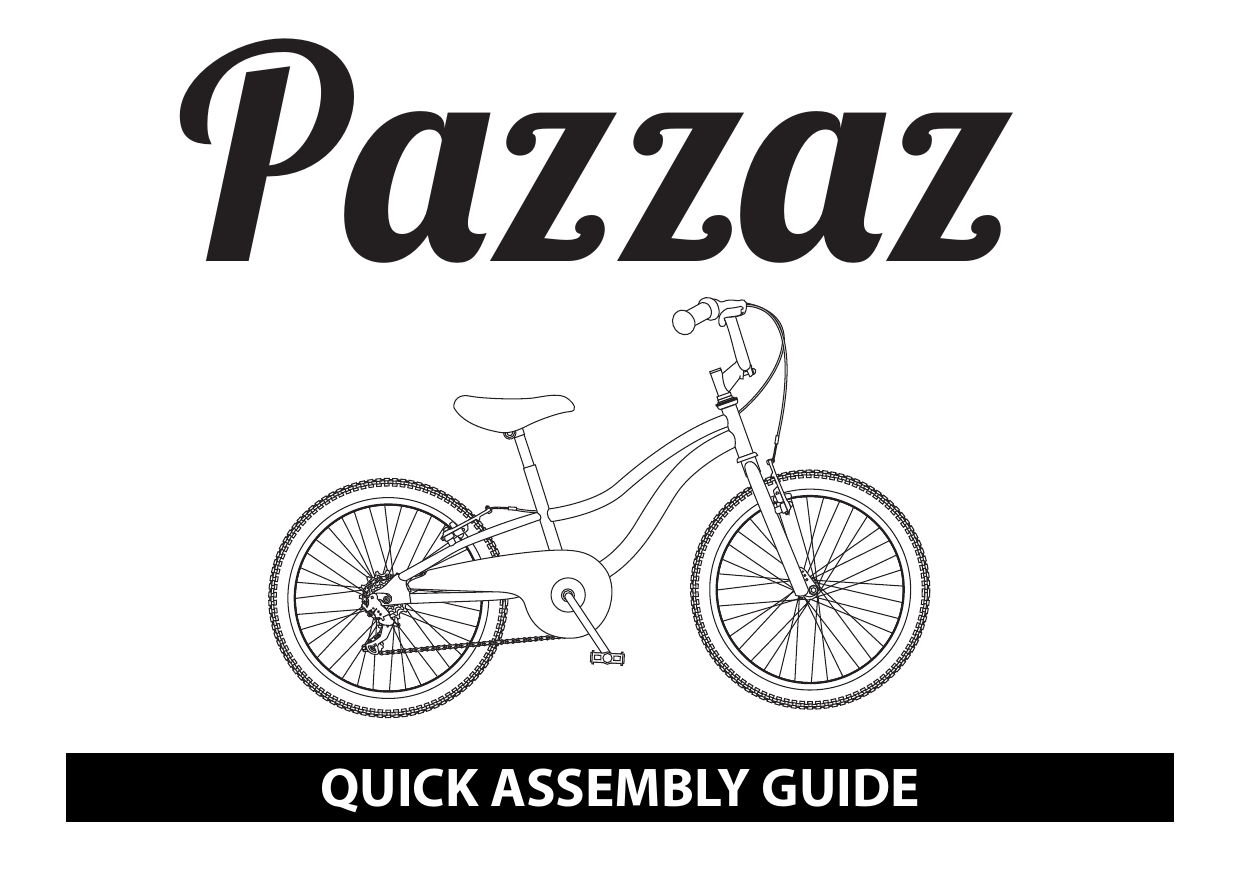 pazzaz bike 20 inch