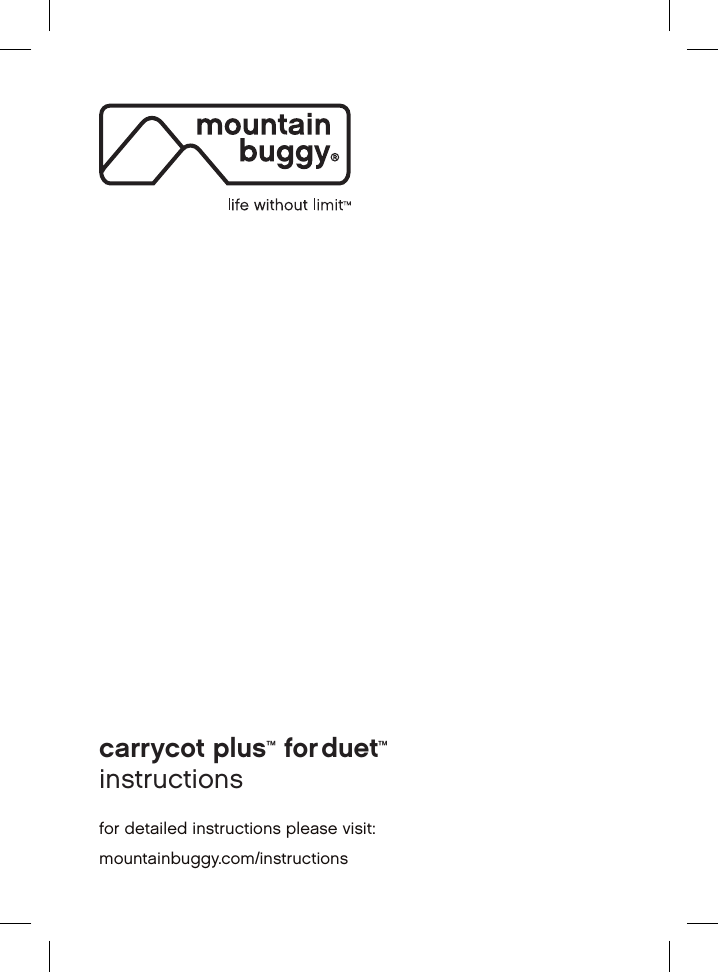 Mountain buggy duet hotsell parent facing seat instructions