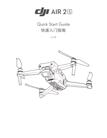 dji AIR 2S Grey Руководство пользователя | Manualzz