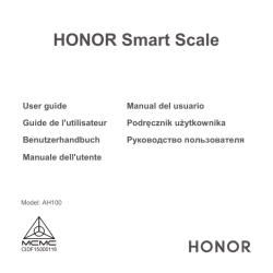 honor ah100