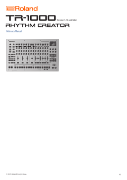 Roland TR-1000 Rhythm Machine: AI Chat & PDF Access
