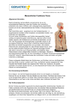 Conatex Menschlicher Funktions-Torso Bedienungsanleitung